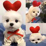 BichoHeart Amore - Moletom com Capuz para Pets