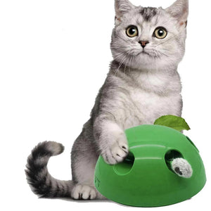 Brinquedo de Movimento para Gatos - CatMotion