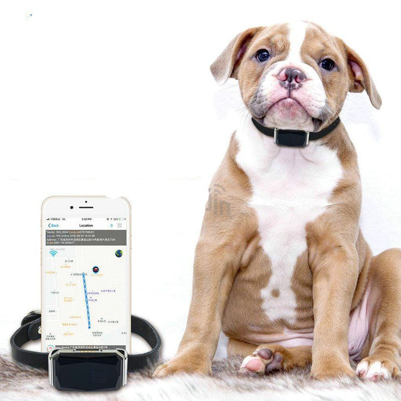 Coleira GPS à Prova d'Água com Microfone e Geofence - BichoTrack Pro Mk2 Rastreamento Avançado para Pets