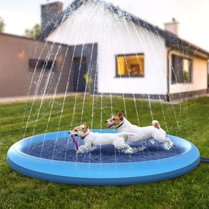 Piscina com Chafariz para Pets