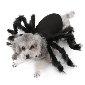 BichoAranha Fantasia - Fantasia de Aranha para Cães e Gatos Diversão e Estilo para Seu Pet