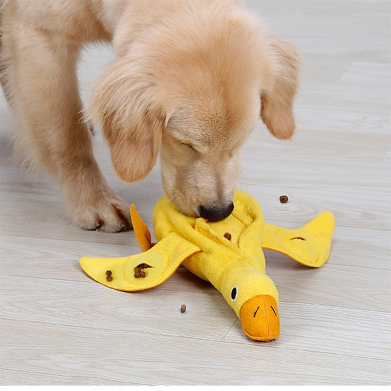 BichoDuck Play - Brinquedo Pato Interativo para Cachorros 