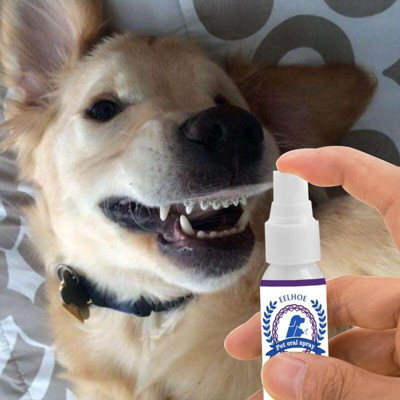 Bicho Xõ Bafinho - Spray Oral Eliminador de Tártaro e Mau Hálito Pet